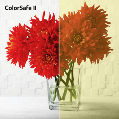 Color-002-Acer-Color-Safe-II