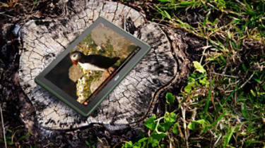 The tablet on wood stump; Shutterstock ID 388710877; Purchase Order: -
