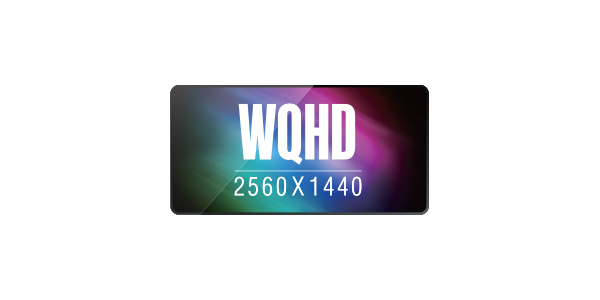 WQHD(non-gamming_Monitor)