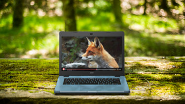 A modern laptop with a blank screen, and placed in a forest/natural area.