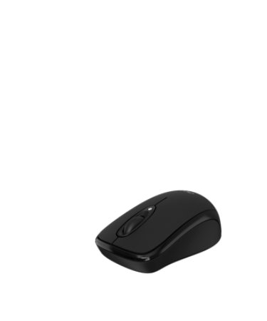 amr120-b501-wwcb-mouse-banner