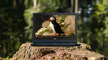 Laptop with blank screen in the forest.; Shutterstock ID 1080979052; Purchase Order: -