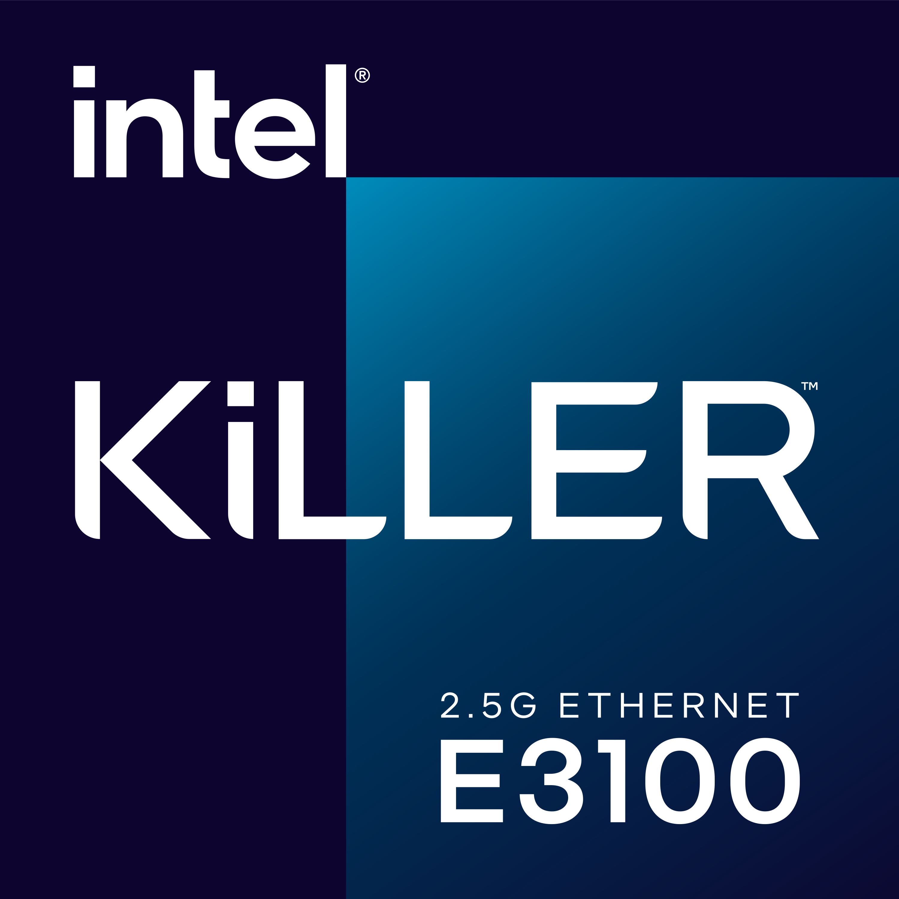 Intel Killer 2.5G Ethernet E3100