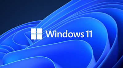 Windows 11 SSS 